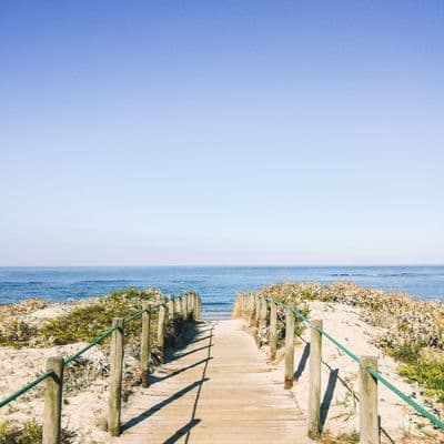 Boardwalk over the dunes to the ocean